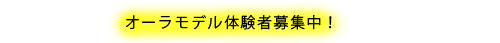 20110131-6.gif