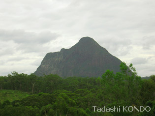 mt_beerwah.JPG