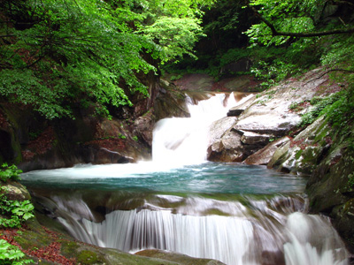 nishizawa_ravine01.jpg